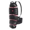 Dainese Pro-Armor Back Protector