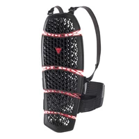 Dainese Pro-Armor Back Protector